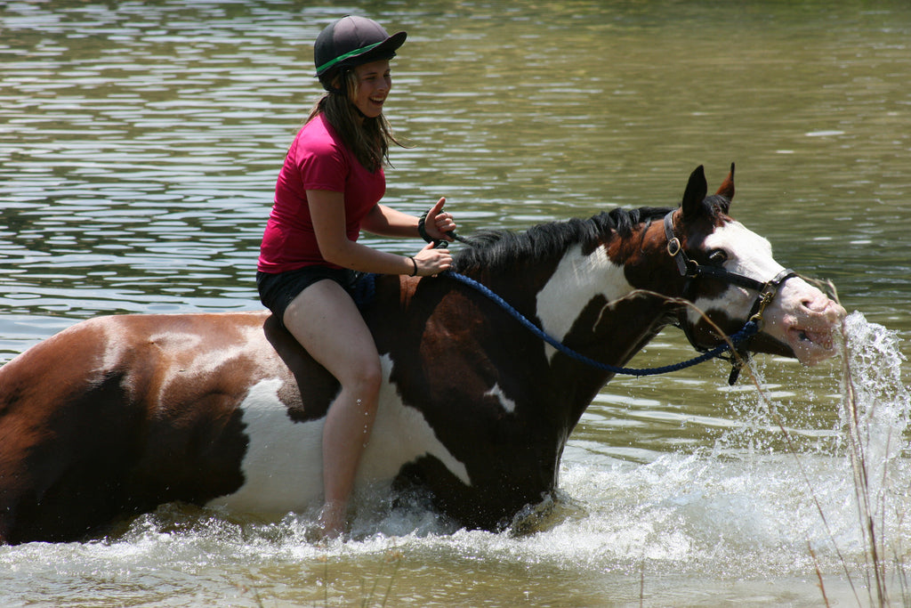 How important is water for your horse?