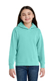 Comfort Colors ®  Youth Lightweight Hooded Sweatshirt 1467Y