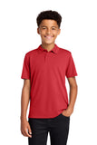 Port Authority ®  Youth Dry Zone ®  UV Micro-Mesh Polo Y110